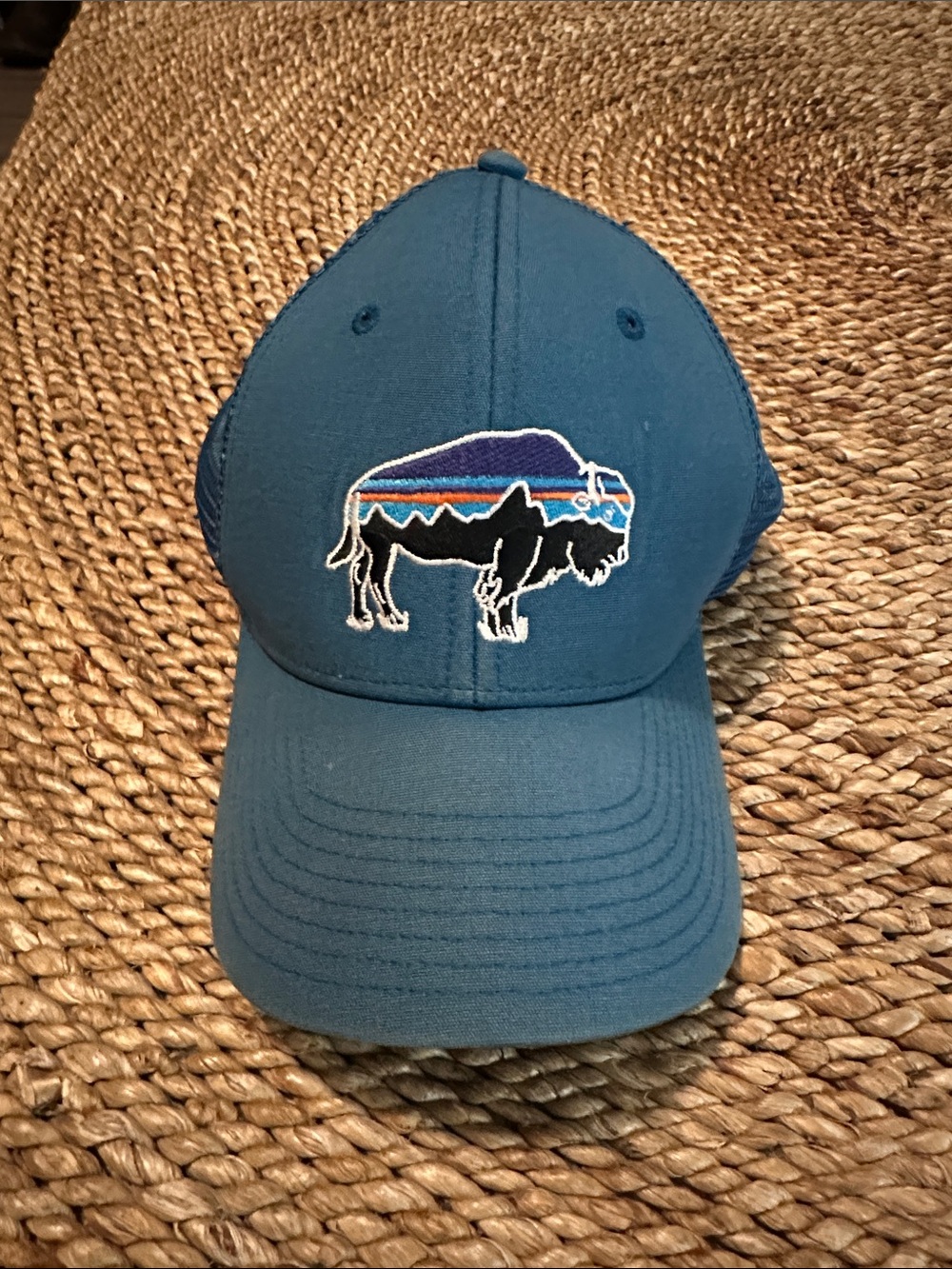 Patagonia Blue Buffalo Patch Baseball Cap - OSFA hat